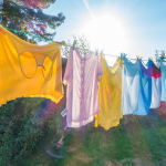 Shirts drying on clothes line