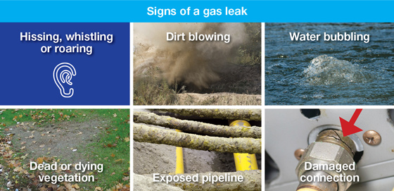 Signs of a gas leak
