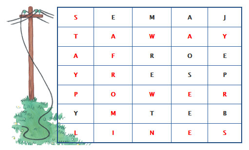 Answer to cross word puzzle with hidden message Stay Away From Powerlines.