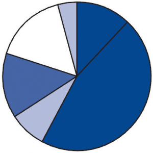 Pie chart representing home energy use. No percentages are shown.