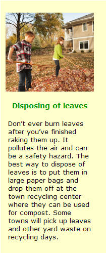 Disposing of leaves