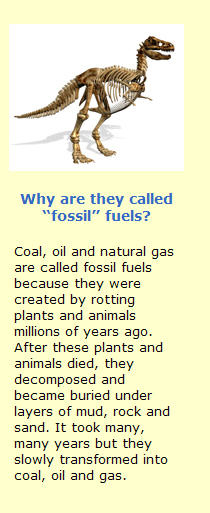 Why are they called "fossil" fuels?