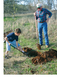Planting a Tree
