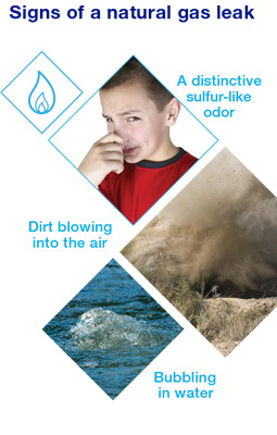 Signs of a natural gas leak
